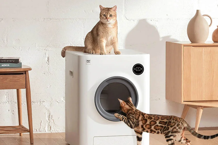 odorless litter box