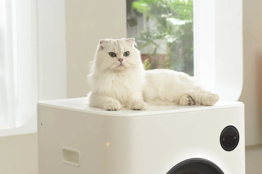 automated litter boxes